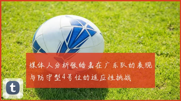 媒体人分析张皓嘉在广东队的表现与防守型4号位的适应性挑战