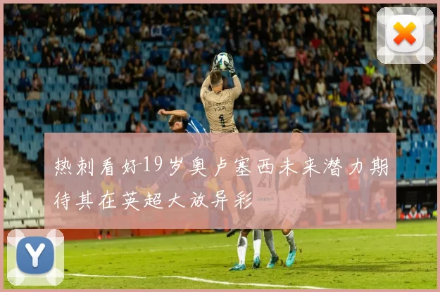 热刺看好19岁奥卢塞西未来潜力期待其在英超大放异彩