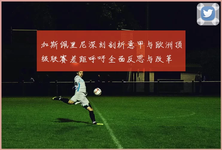 加斯佩里尼深刻剖析意甲与欧洲顶级联赛差距呼吁全面反思与改革